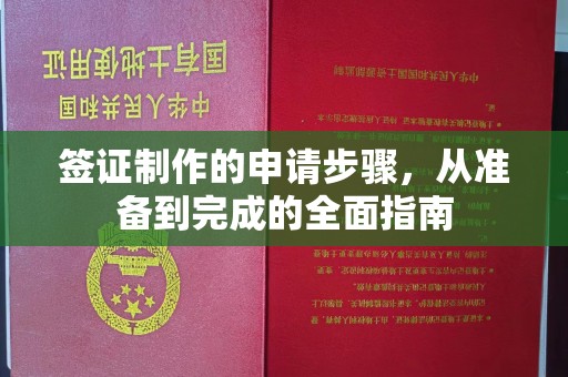 两江新区签证制作的申请步骤，从准备到完成的全面指南